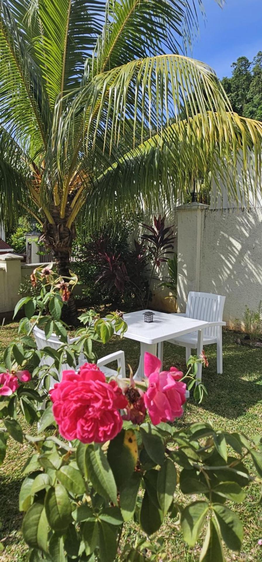 Emma'S Guest House And Self-Catering Au Cap 외부 사진