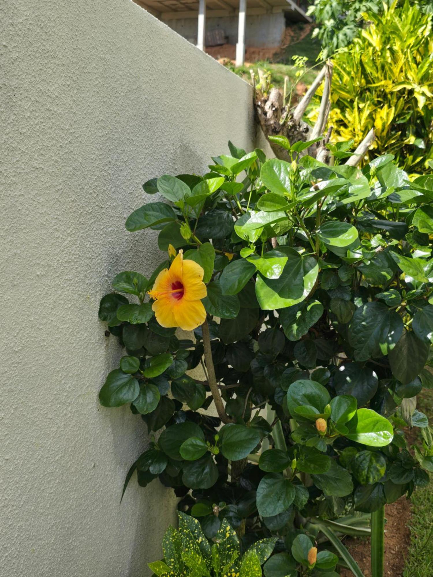 Emma'S Guest House And Self-Catering Au Cap 외부 사진