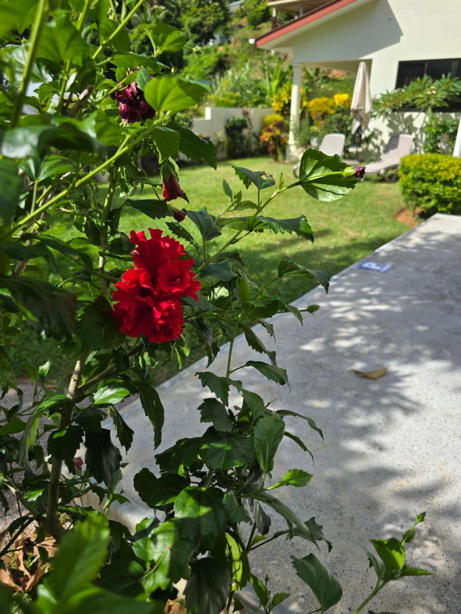 Emma'S Guest House And Self-Catering Au Cap 외부 사진
