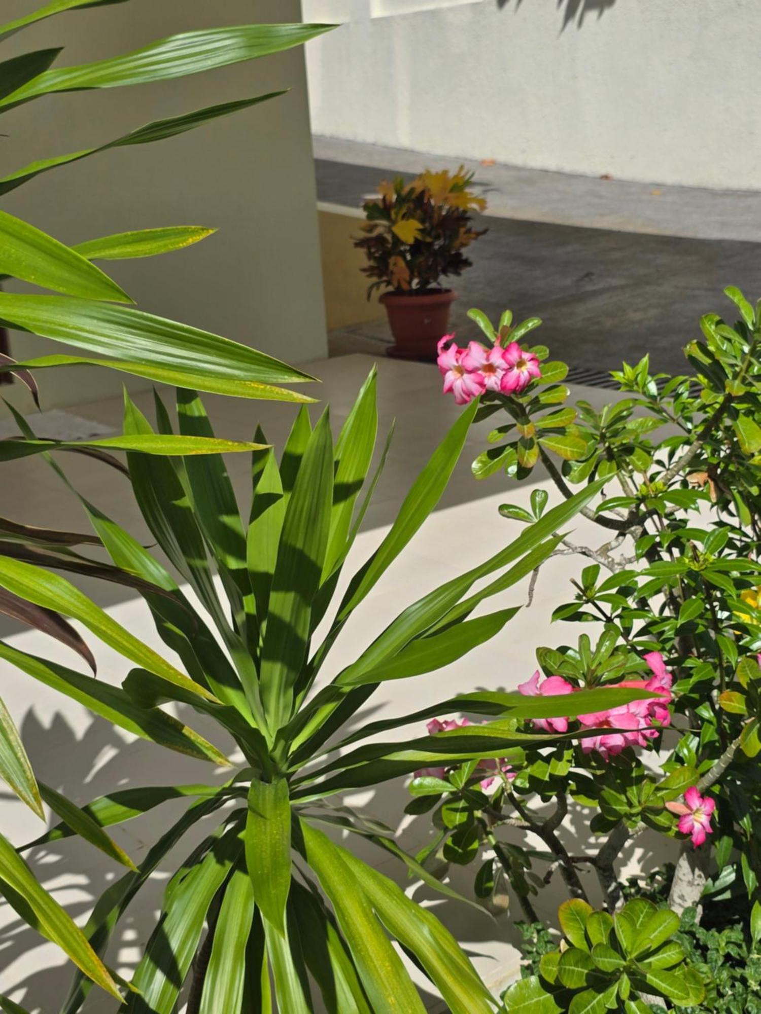 Emma'S Guest House And Self-Catering Au Cap 외부 사진
