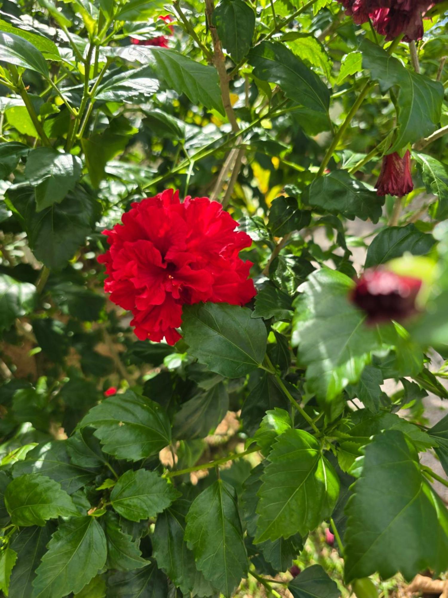 Emma'S Guest House And Self-Catering Au Cap 외부 사진